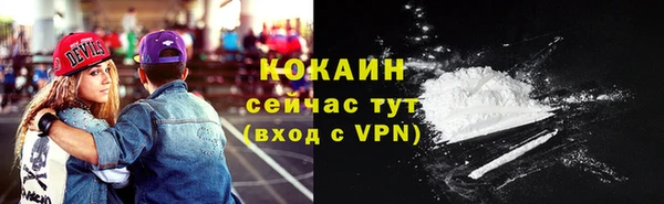 прущие грибы Богородицк