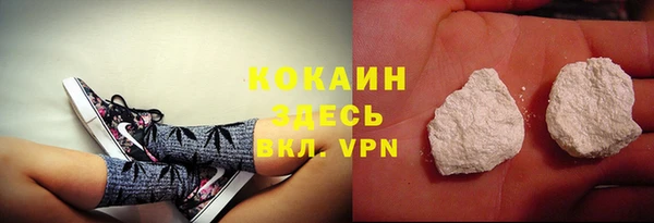 прущие грибы Богородицк