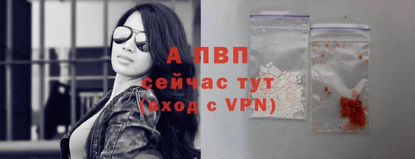 прущие грибы Богородицк