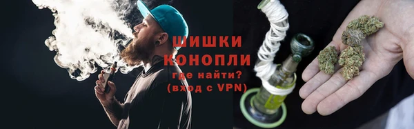эйфоретик Богданович