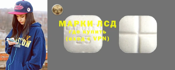 прущие грибы Богородицк