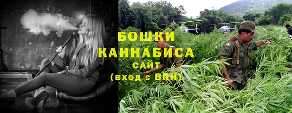 прущие грибы Богородицк