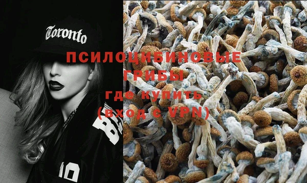 эйфоретик Богданович