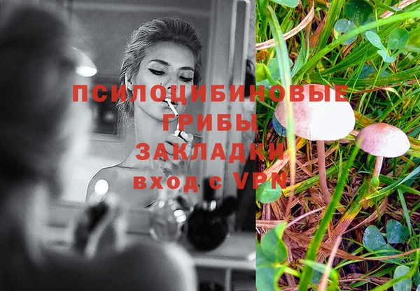 прущие грибы Богородицк