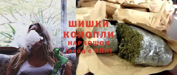 прущие грибы Богородицк