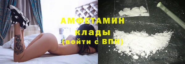 прущие грибы Богородицк