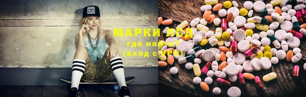 эйфоретик Богданович