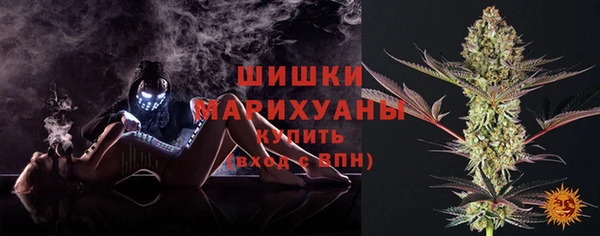 прущие грибы Богородицк