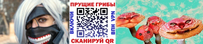Галлюциногенные грибы GOLDEN TEACHER  наркота  Чудово 